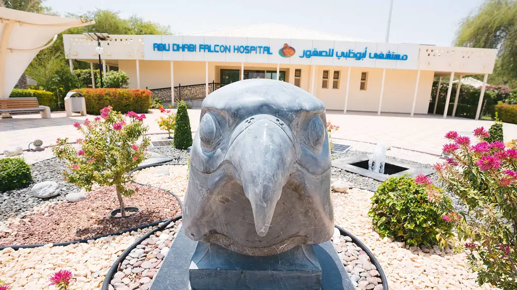 Abu Dhabi Falcon Hospital Tour - with transfer