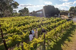 South Australia wine tasting tours