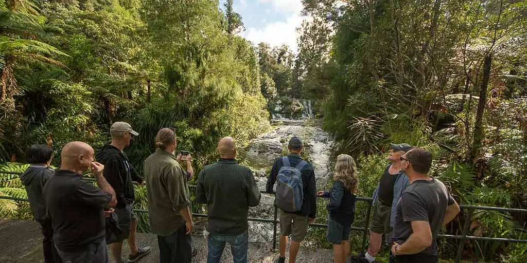 Auckland - Best of Both Worlds City And Nature Tour