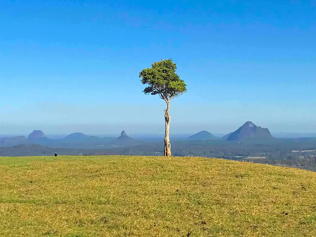 Maleny and Montville with Gourmet lunch & Wine Tasting - Day Tour