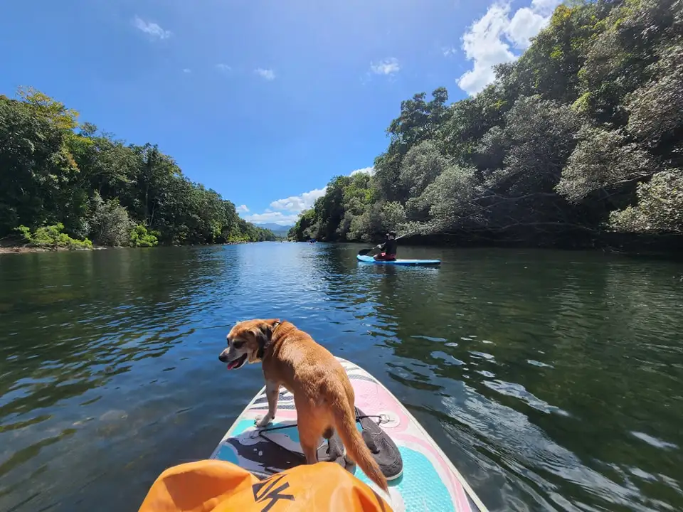 Hidden Gem – Goldsborough Valley SUP