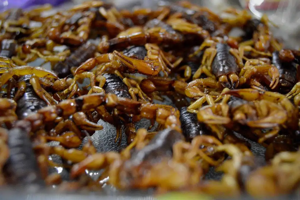 Mexico City Street Food Tour