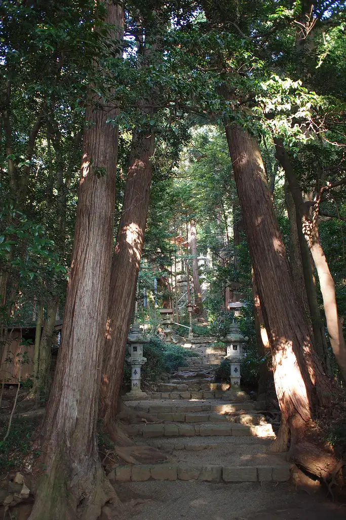 Cycling Tour in Hinode-machi, Tokyo