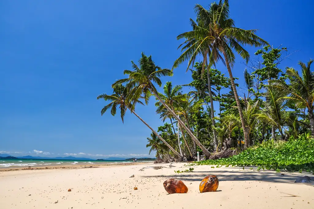 Explore Dunk Island Day Tour | From Cairns