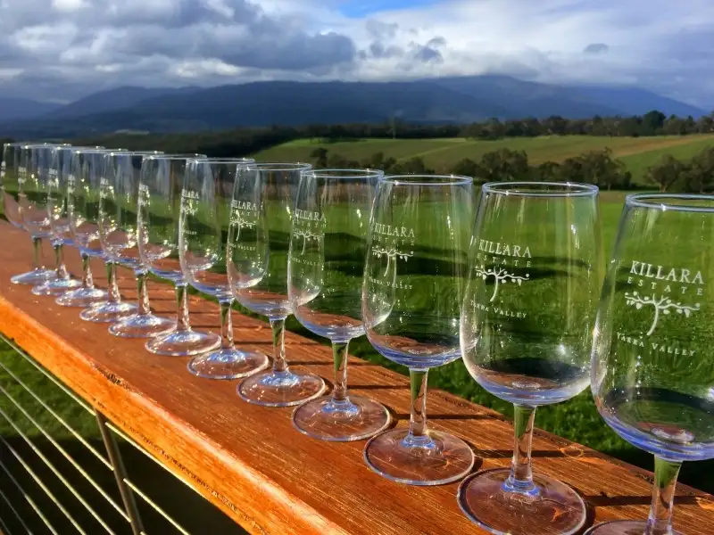 Puffing Billy Steam Train & Yarra Valley Wineries Tour