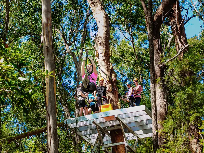 Canyon Flyer Zipline Tour Mount Tamborine - Australia's Largest Zipline Tour!