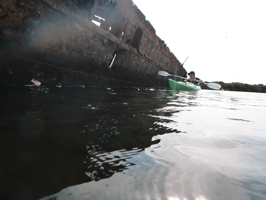 Port Adelaide Dolphin Sanctuary & Ship Graveyard Kayak Tour