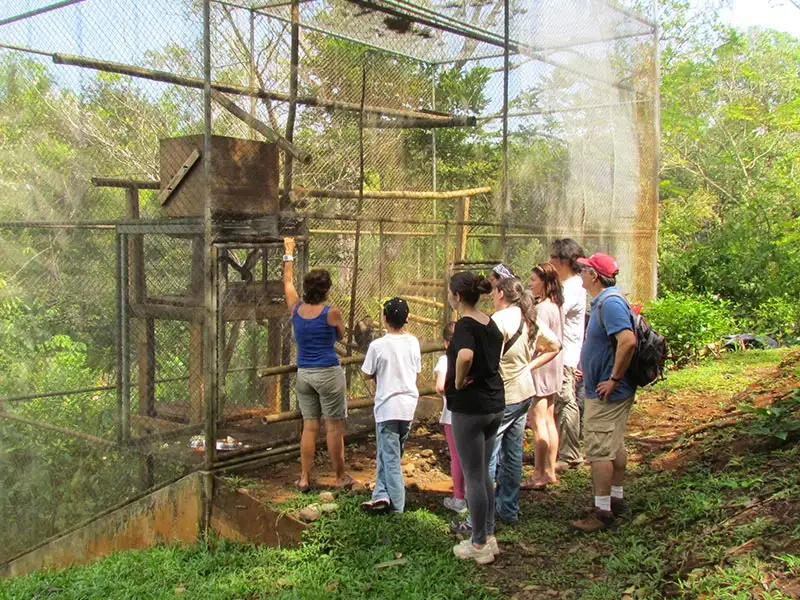 Quepos Cultural & Historical City Tour