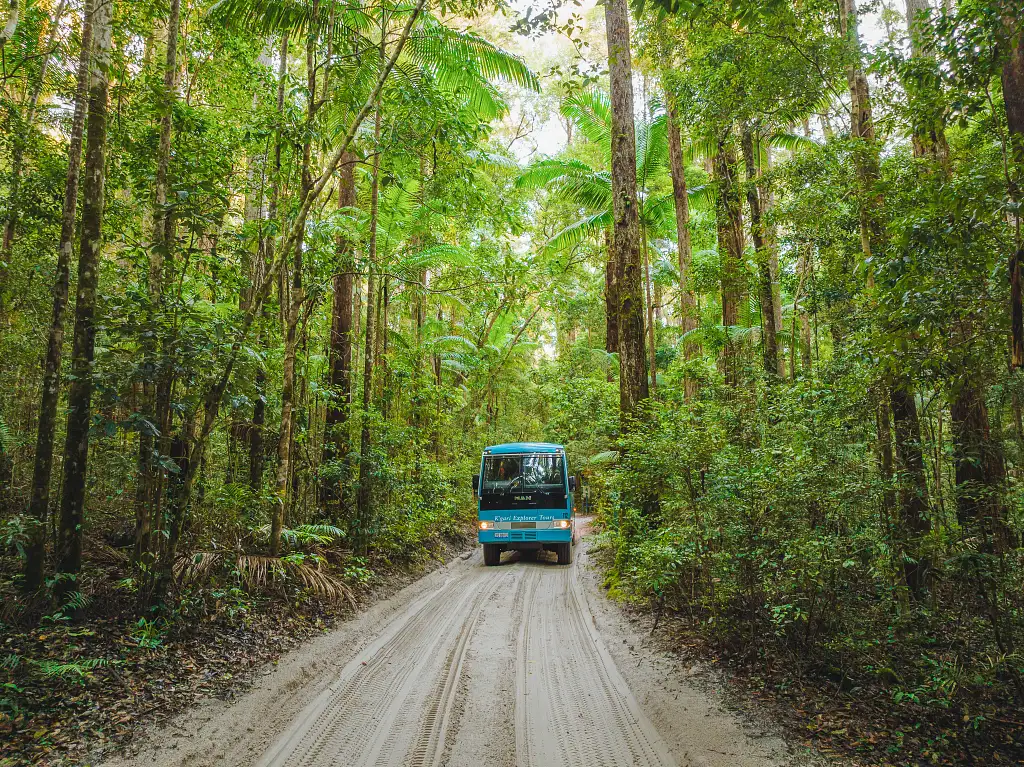 3 Day 2 Night K'gari Getaway Tour + Illumina Light Show | From Hervey Bay