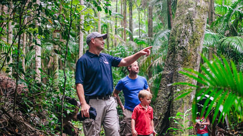 Gold Coast Mt Tamborine Tour Discount