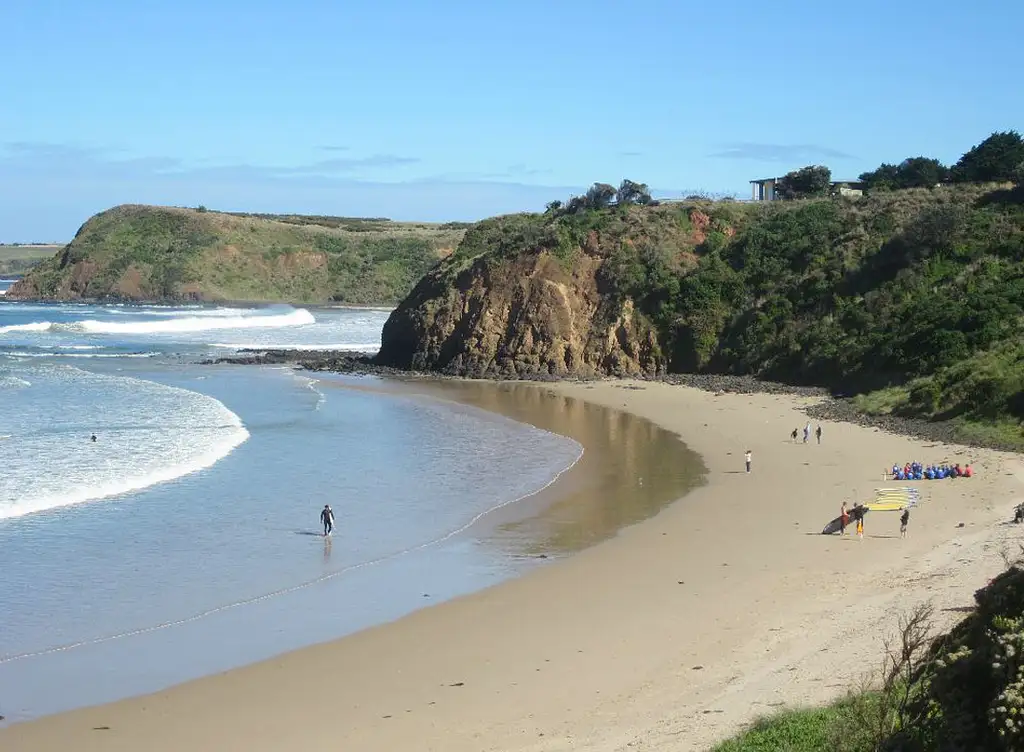 Scenic Flight 3 –  Seal Rocks, Penguins & The GP Circuit