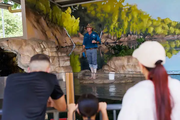 Whipray Encounter at Crocosaurus Cove