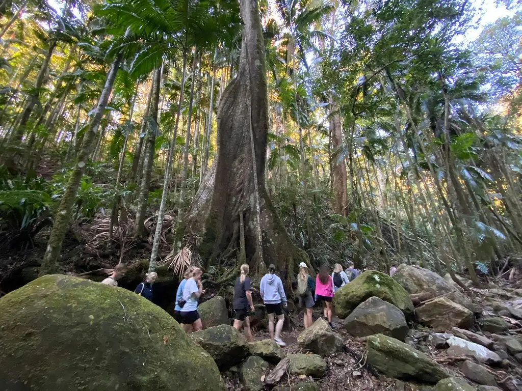 Glow-worms, Waterfalls & Rainforest | Small Group Experience