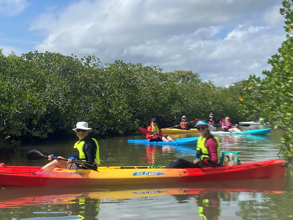 Guided Mangroves and Mansions Kayak Tour | Noosa