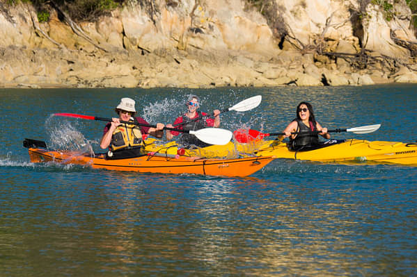 Abel Tasman Kayaking Southern Blend