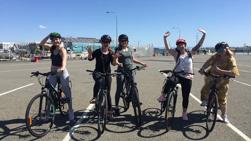 Napier Bike & E-Bike Hire – Half or Full Day