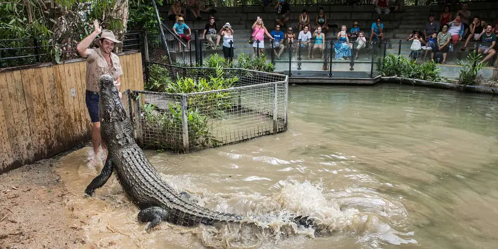 Hartley's Crocodile Adventures | Zootastic 5