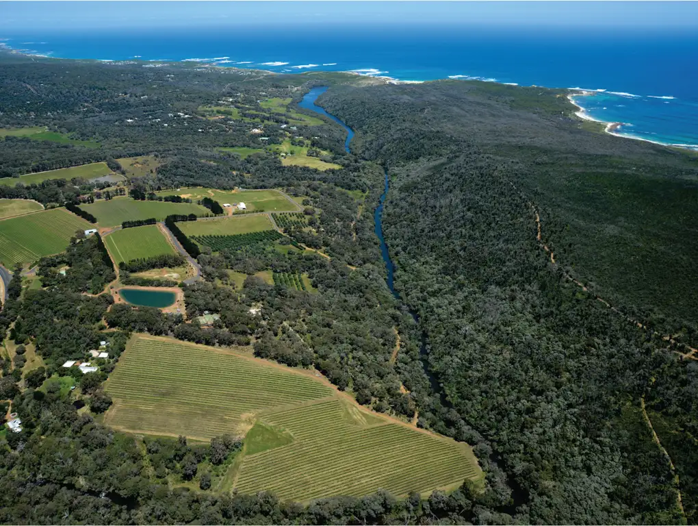 Premium Vineyard Wine & Food Tour - Margaret River