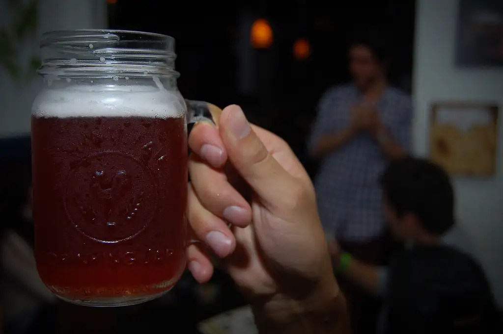 Carpe Craft Beer Tour from San José