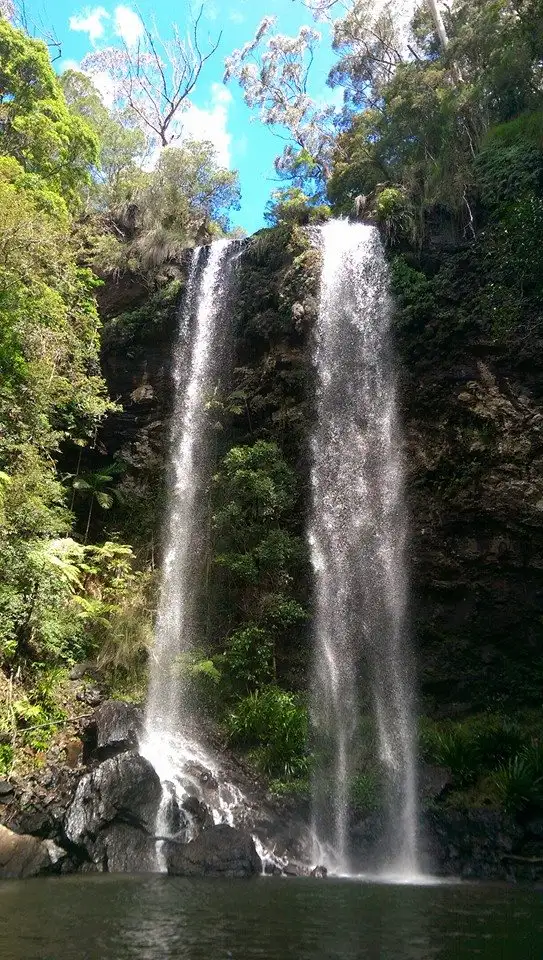 Springbrook National Park 1 Day Tour