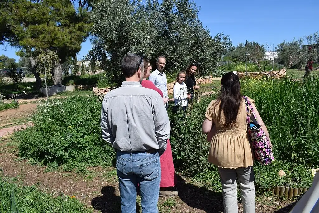 Olive Grove And Olive Oil Tasting Full Day Tour From Athens | Private Tour