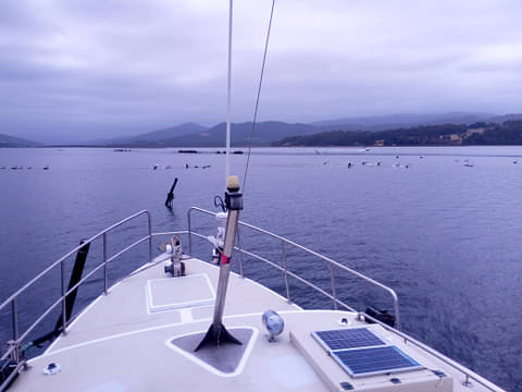 Tasmania river cruise