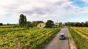 South Australia wine tours