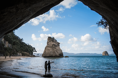 Kiwi Experience bus tour coupon