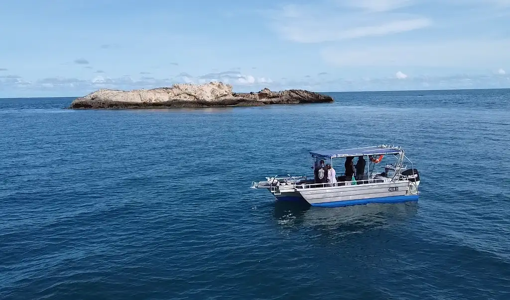 Half Day Fishing Charter in Arnhem Land