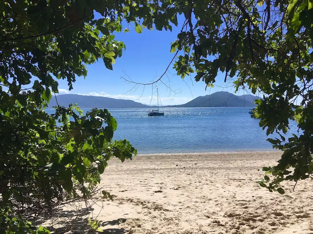 Fitzroy Island Day Trip