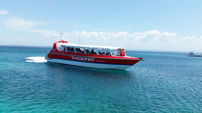 jervis bay dolphin tours