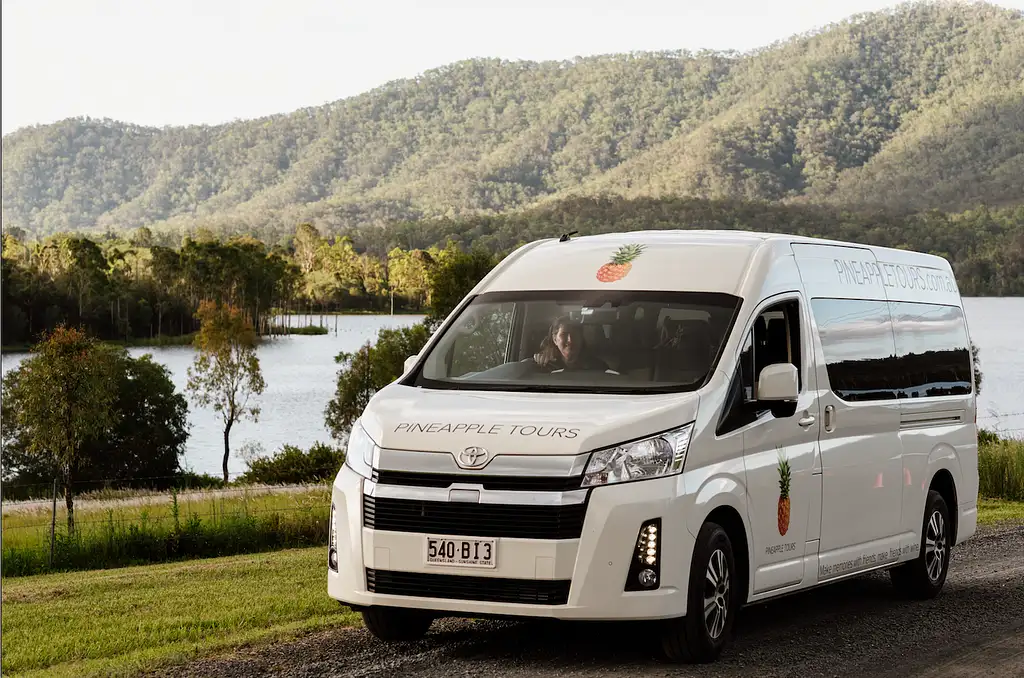 Scenic Rim Glow Worm Tour -  Brisbane Pickup