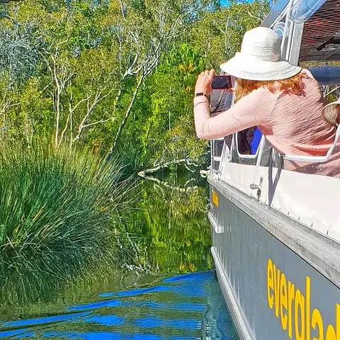 Noosa Everglades Cruise & Highlights Tour Inc. Lunch