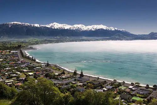 Kaikoura Day Trip From Christchurch Deals