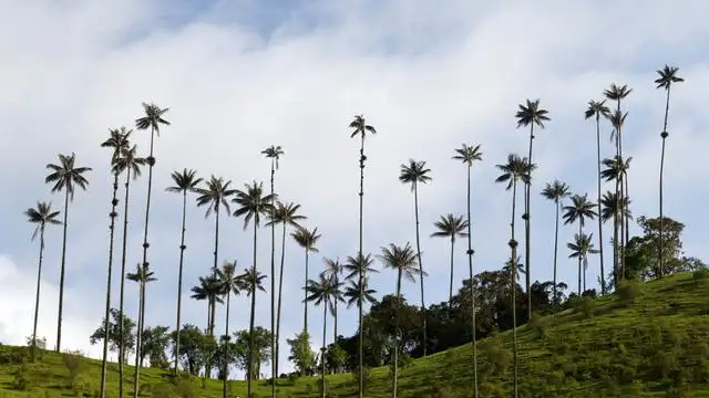 Classic Colombia – 16 Days, 15 Nights
