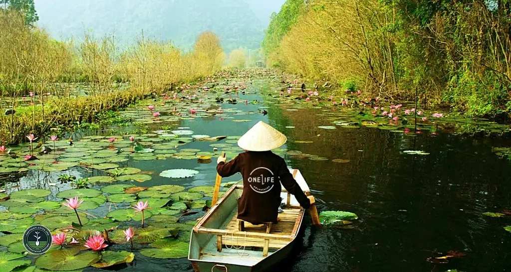 12 Day Vietnam Classic Ho Chi Minh to Hanoi Tour | One Life Adventures