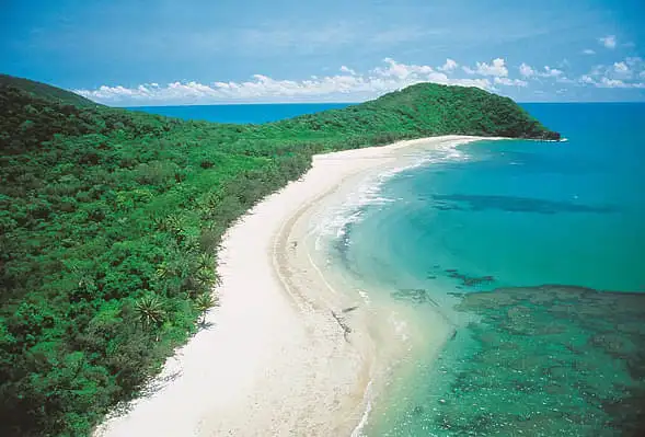 Daintree Rainforest, Cape Tribulation, & Mossman Gorge Day Tour