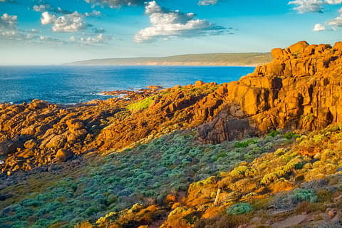 Wine tasting in Western Australia