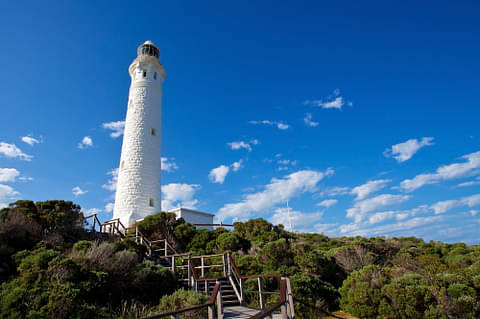 Cape to Cape Track Deals