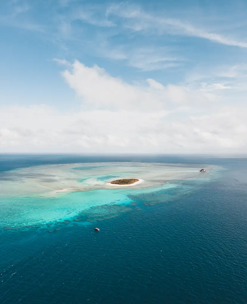 Wild Cat Mackay All-inclusive Snorkel & Islands Day Tour