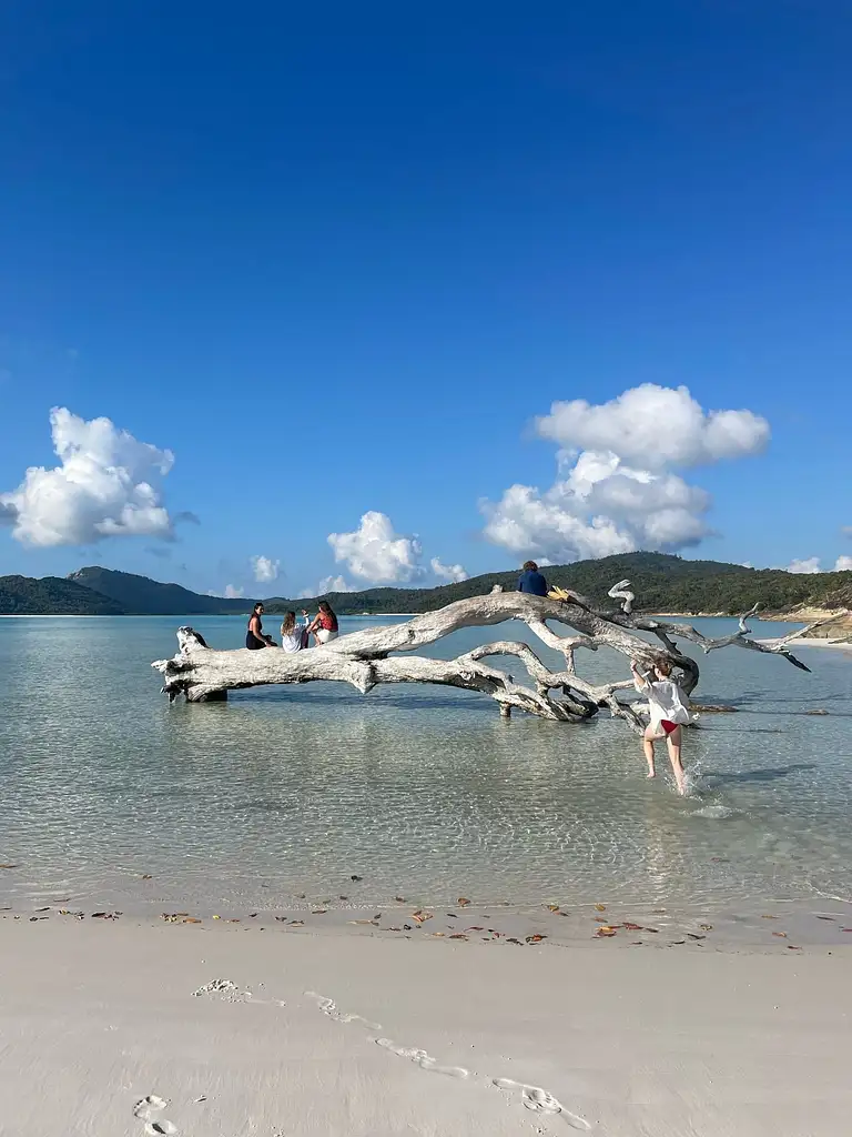 Avatar: 2-night Whitsunday Islands Sailing Adventure