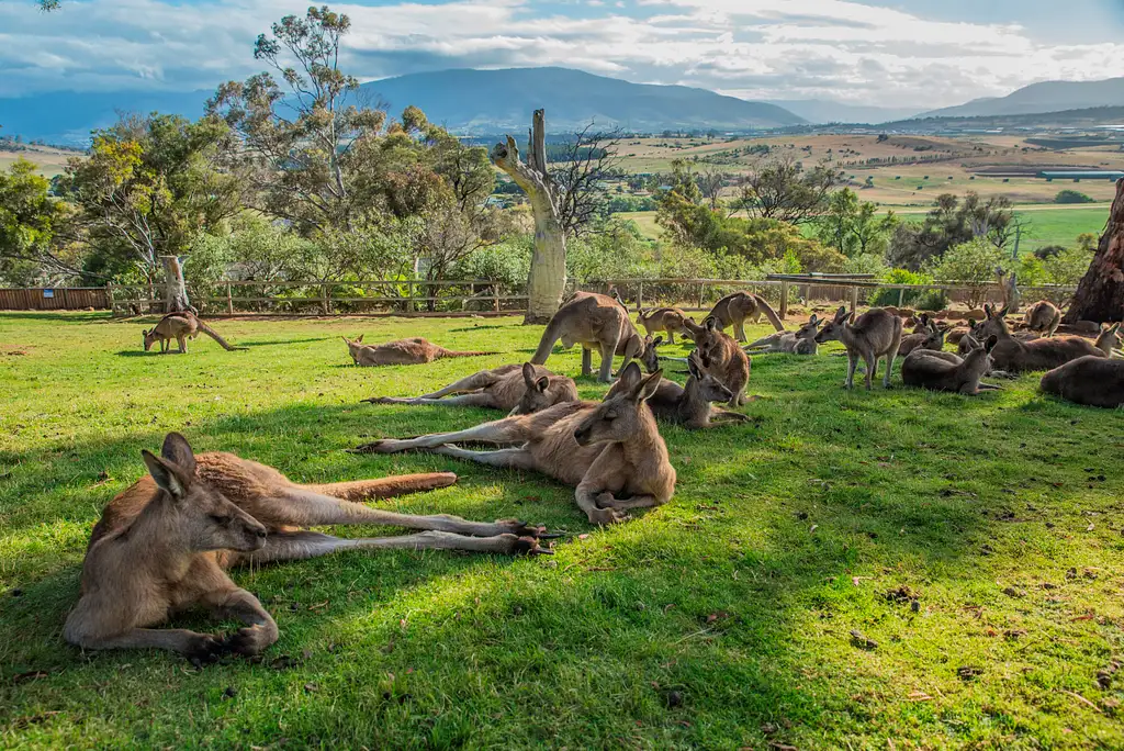2 Day Two of Tasmania's Best Tour – Hobart and Bruny Island