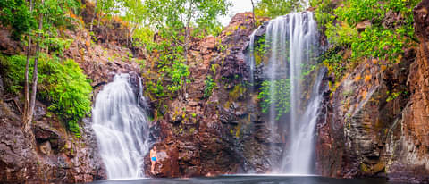 Kakadu