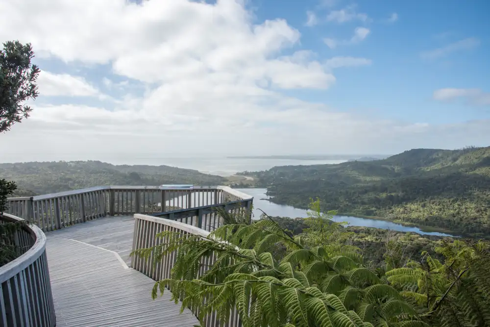 NZ West Coast Discovery Day Tour | Auckland