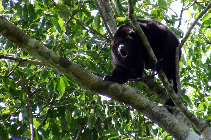 Mayan Inland Expedition | Group & Private options