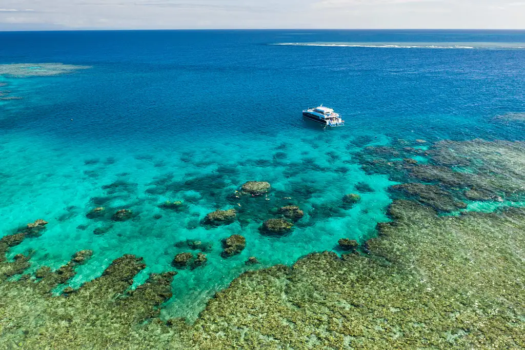 Calypso Outer Great Barrier Reef Snorkel Tour | From Port Douglas