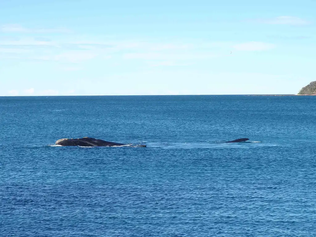 Kayak Camping Tour - Departing Batemans Bay