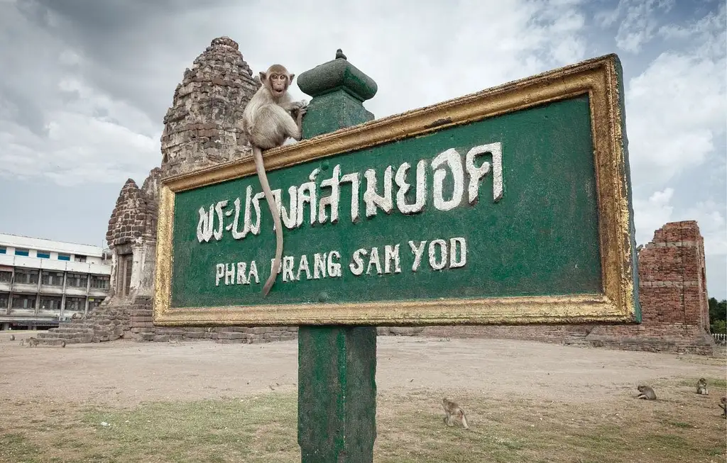 Full-Day Ayutthaya and Lopburi Guided Tour from Bangkok