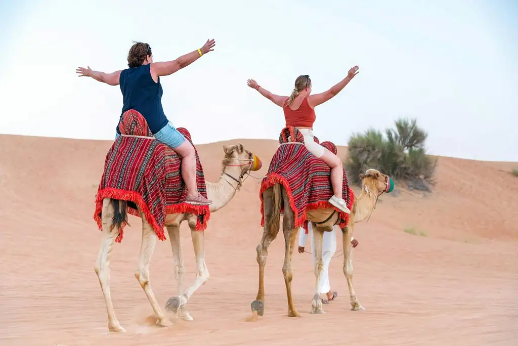Dubai Desert Safari With BBQ Dinner & Local Driver - Standard ticket
