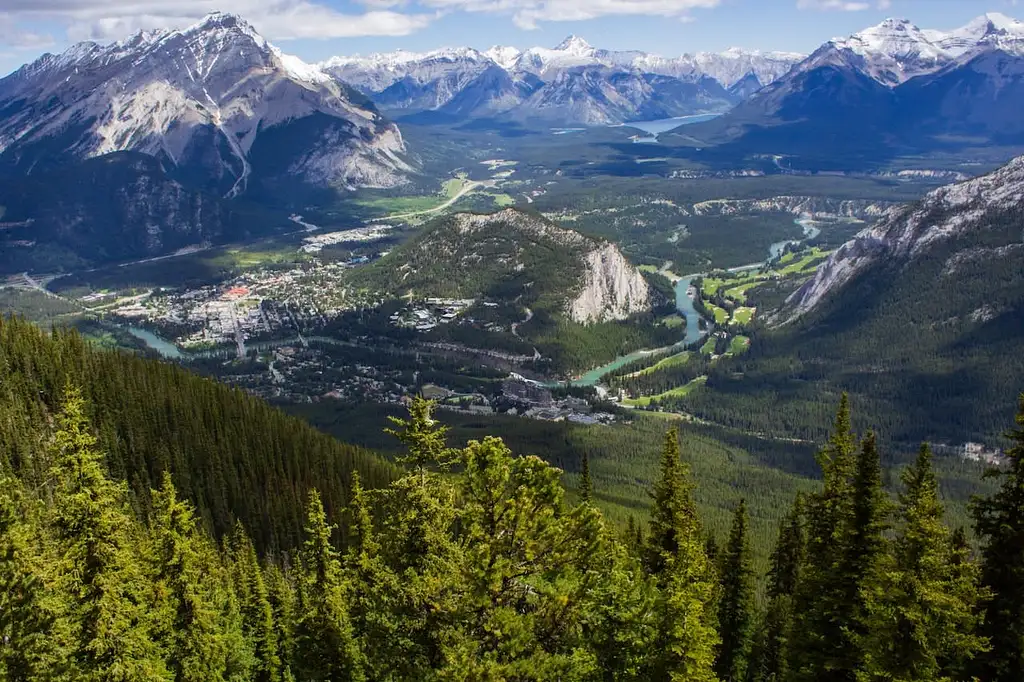 Banff Area And Canyon Guided Walking Tour